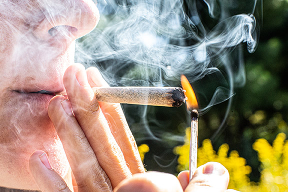 SMALLER Eau Claire Hemp Cbd Wonders Of Nature Soul Shine Photography 9257